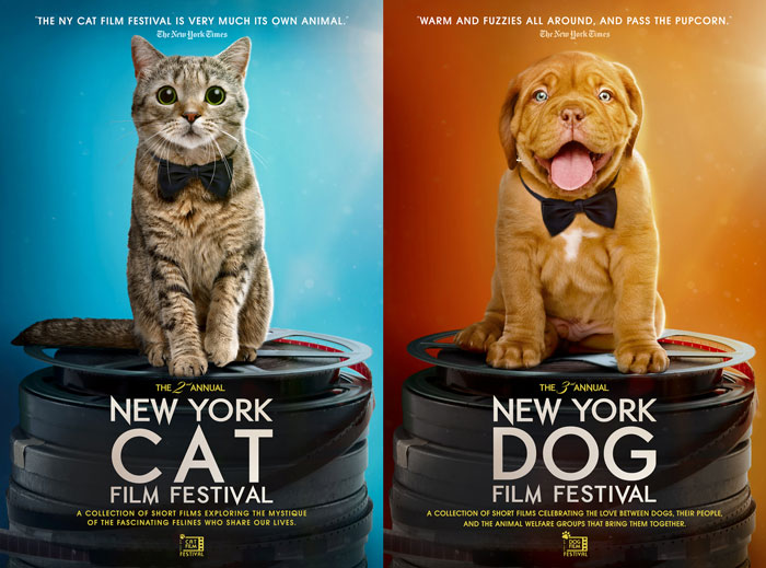 With Whiskers and Wit, the NY Cat and Dog Film Festivals Return